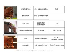 Sätze-bilden-Eichhörnchen 7.pdf